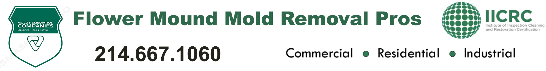 Flower Mound Mold Removal Pros