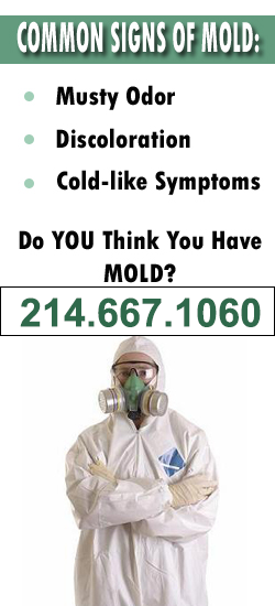 Flower Mound Mold Remediation Contractor